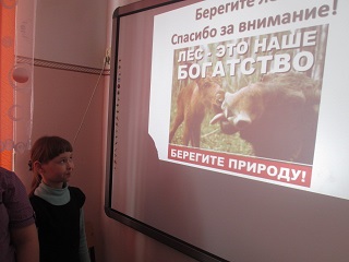 День леса День леса